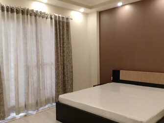 4 BHK Apartment For Rent in Boutique Residential Apartments C-220 Malviya Nagar Delhi  7968893