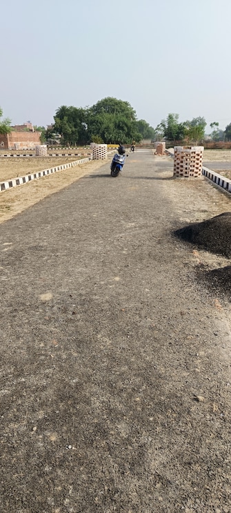 Plot For Resale in Bakhshi Ka Talab Lucknow  7968911