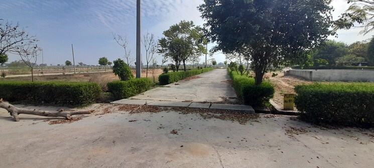 undefined, jewar  250 Sq.Yd. Plot In Jewar Greater Noida 7969016