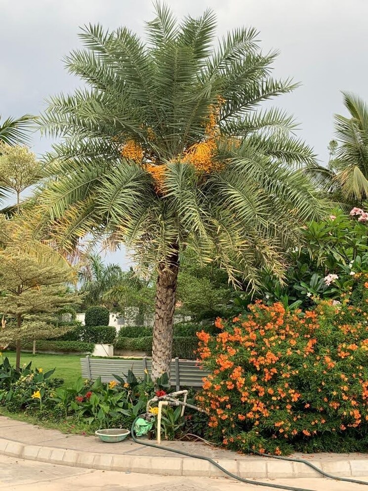 Master Bedroom, gopanpally 5 Bedroom 3880 Sq.Ft. Villa In Gopanpally Hyderabad 7969230