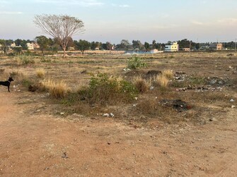 Plot For Resale in Brahmapura Mandya  7969280