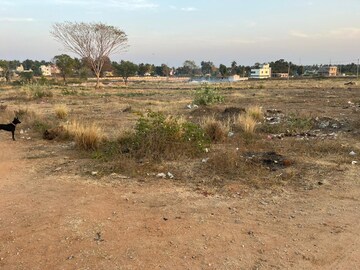 Plot Area in  Plot at Brahmapura – for Sale