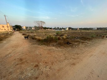 Plot For Resale in Brahmapura Mandya  7969280