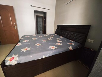 3 BHK Apartment For Rent in Trishla City Patiala Road Zirakpur  7969388