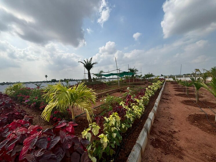 Garden, sri-bhumi-eeshaanya  166 Sq.Yd. Plot In Kankipadu Vijayawada 7969391