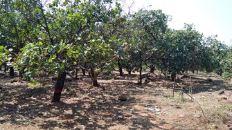 Commercial Land 15 Acre For Resale in Tirupati Chittoor  7969457