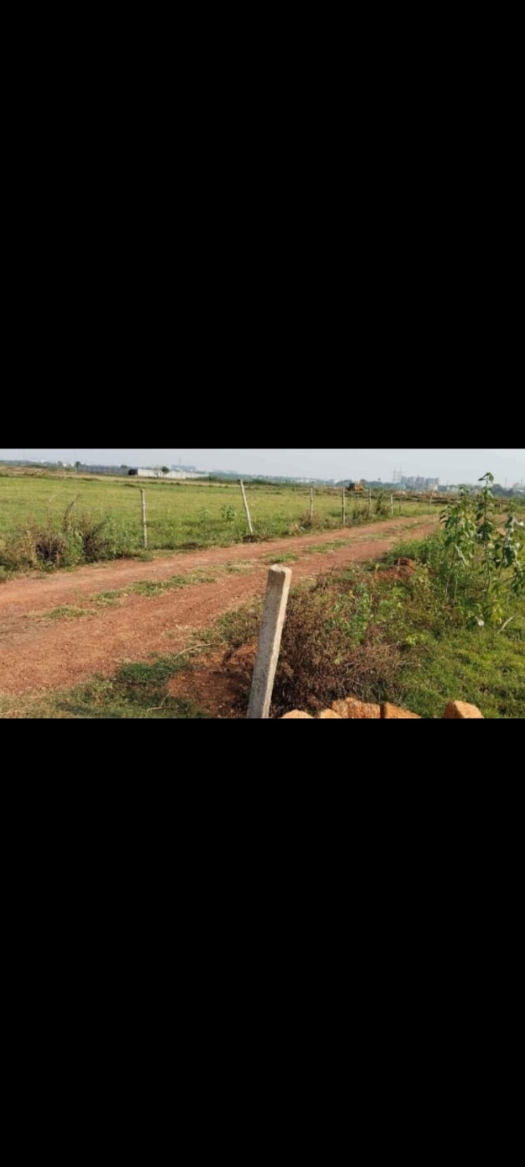 undefined, patrapada  1333 Sq.Ft. Plot In Patrapada Bhubaneswar 7969498