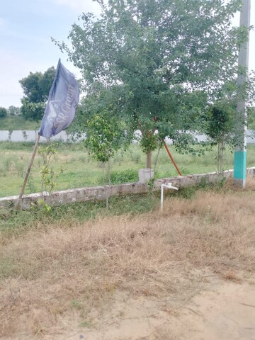 Plot Area in  Plot at Tappal – for Sale