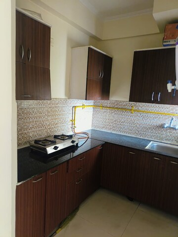 1 BHK Apartment For Rent in Maxblis Grand Kingston, Sector 75
