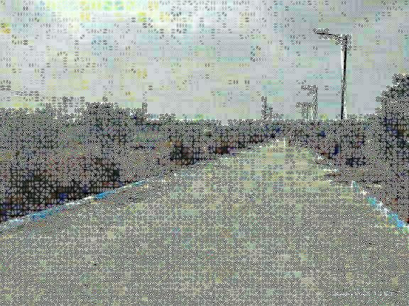 Plot For Sale in Apoorva Says Y