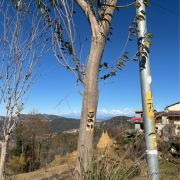  Plot – Exterior View View at Mukteshwar - for Sale
