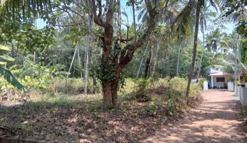  Plot For Sale in Kuthuparamba