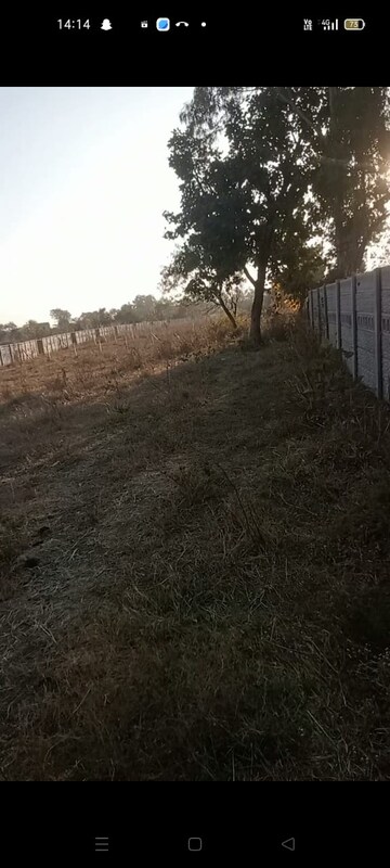 Plot For Resale in Anwala Bhopal  7970907