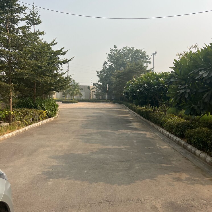 Garden, ats-homekraft-bonheur-avenue 3 Bedroom 1503 Sq.Ft. Builder Floor In Sohna Sector 33 Gurgaon 7971010