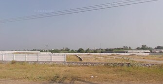 Plot For Resale in Koregaon Mul Pune  7971019