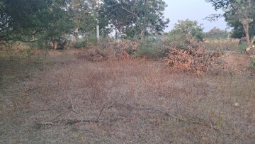  Plot For Sale in Indira Nagar
