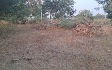 Plot For Sale in Indira Nagar