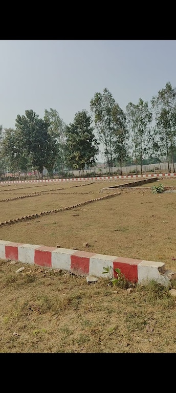 Plot For Resale in Ahmamau Lucknow  7971454