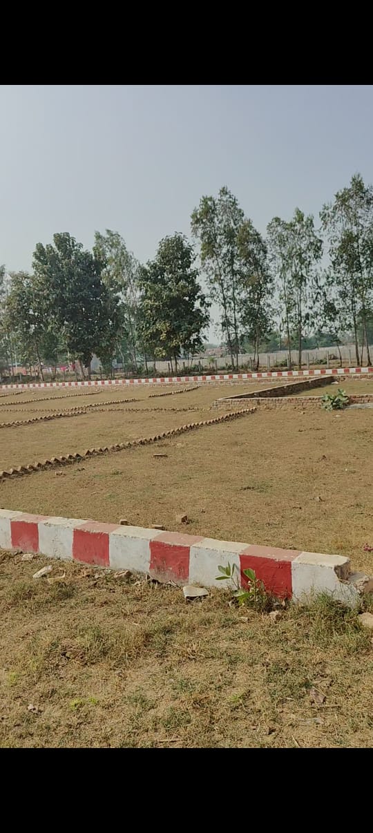 Plot For Sale in Arjunganj