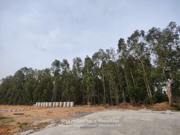 Plot Area in  Plot at Sarjapur Road – for Sale