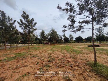 Plot Area in  Plot at Sarjapur Road – for Sale