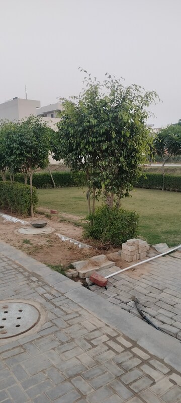 Plot Area in  Plot at Ireo Savannah, Sohna Sector 35 – for Sale