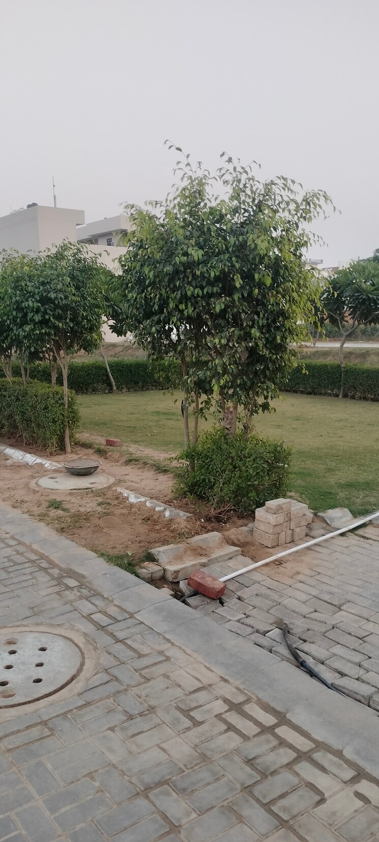 undefined, ireo-savannah  178 Sq.Yd. Plot In Sohna Sector 35 Gurgaon 7971585