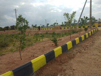 Plot For Resale in Khairatabad Hyderabad  7971721