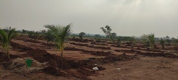 Plot Area in  Plot at Shadnagar – for Sale