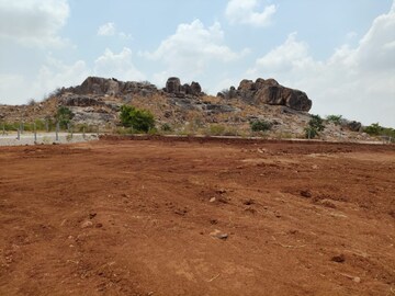 Plot Area in  Plot at Shadnagar – for Sale