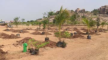  Plot For Sale in Shadnagar