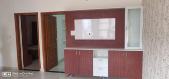 3 BHK Apartment For Rent in MD Leafstone Apartments Patiala Road Zirakpur  7971846