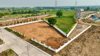 Plot For Resale in Kandi Hyderabad  7971937