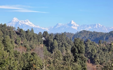 Plot For Sale in Mukteshwar