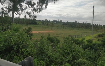 Plot For Sale in Chikkabettahalli