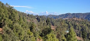  Plot – Exterior View View at Mukteshwar - for Sale