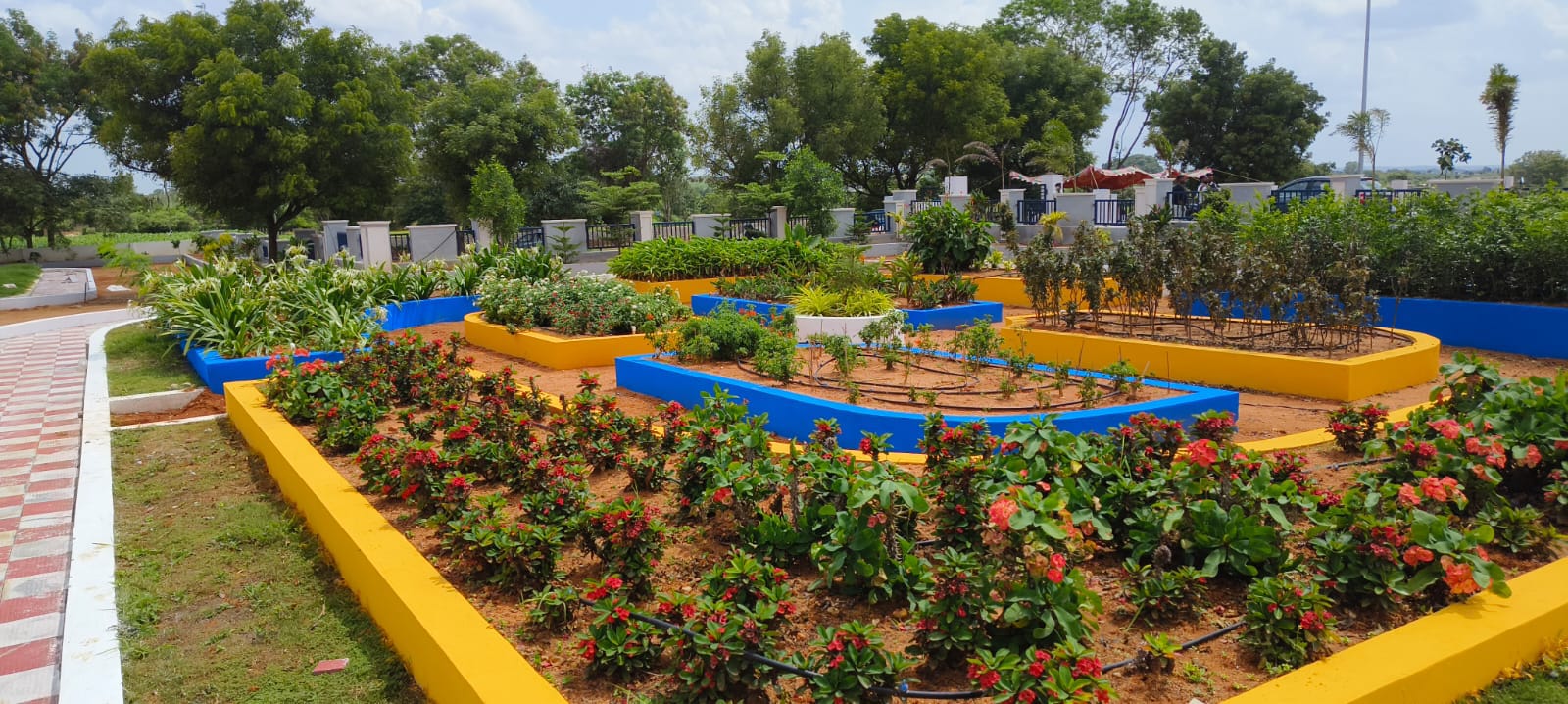 Plot For Sale in Prime Town