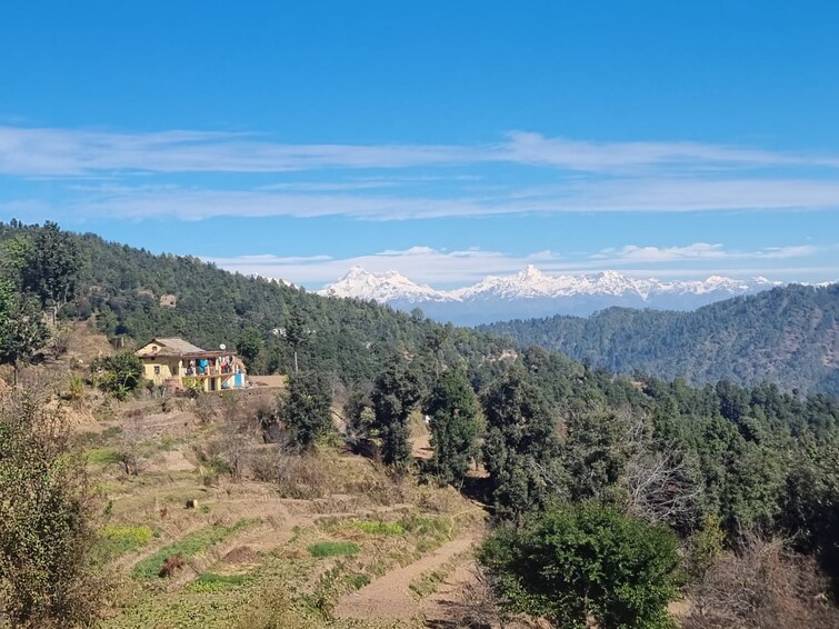Cover Image, mukteshwar  240 Sq.Yd. Plot In Mukteshwar Nainital 7972133