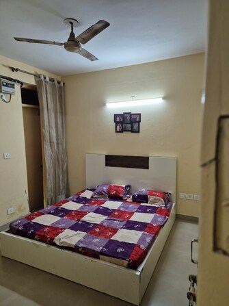 2 BHK Apartment For Rent in Omaxe Heights Sector 86 Faridabad  7972155