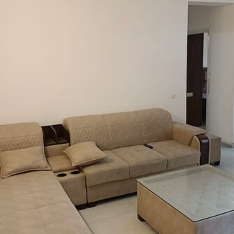 1 BHK Apartment For Rent in Signature Orchard Avenue 2 Hayatpur Gurgaon  7972196