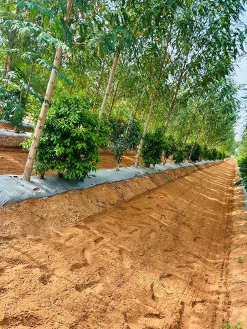 Plot Area in  Plot at Kacharam – for Sale