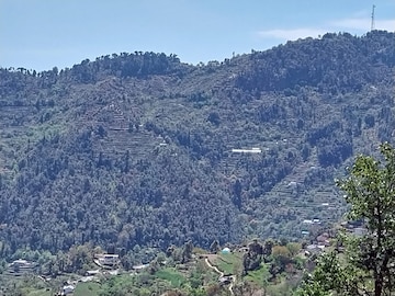 Plot For Resale in Mukteshwar Nainital  7972350