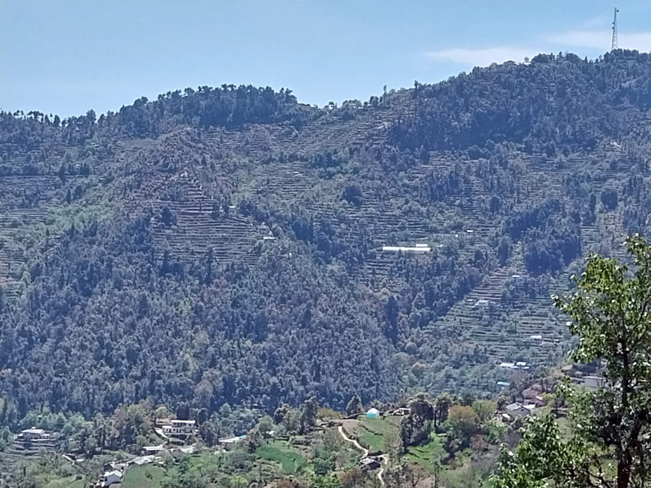 Plot For Sale in Winter Hills 