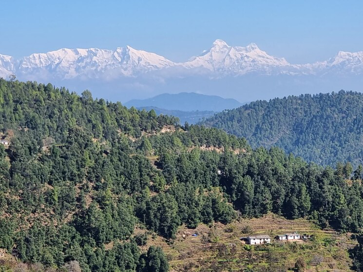 undefined, mukteshwar  350 Sq.Yd. Plot In Mukteshwar Nainital 7972350