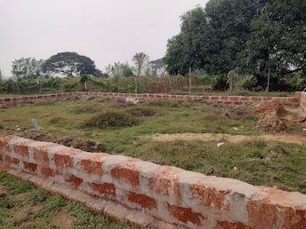 Plot For Resale in Trisulia Cuttack  7972345