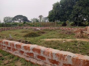 Plot For Resale in Trisulia Cuttack  7972345