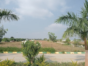 Plot Area in  Plot at Sector 78 – for Sale