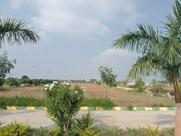 Plot Area in  Plot at Sector 77 – for Sale