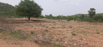 Plot For Resale in Landmark Divine Meadows Yadagirigutta Hyderabad  7972603