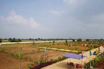 Commercial Land 165 Sq.Yd. For Resale in Shadnagar Hyderabad  7972897